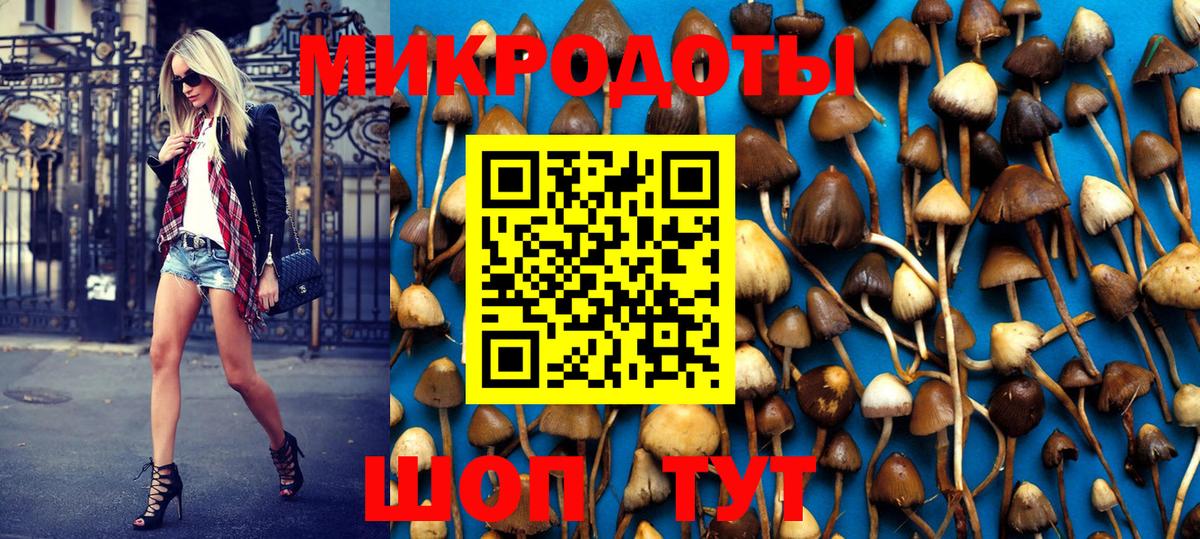 Галлюциногенные грибы Psilocybe Южноуральск